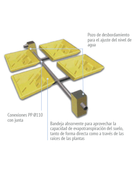 Sistema De Vasos Absorventes COUNTRY MAXI RIUVERT