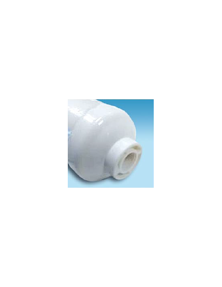 Cartridge Inline 10'' Carbon Gac 1/4 Npt