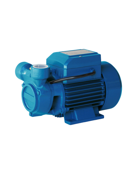 Electrobomba Horizontal Autoaspirante Cpa