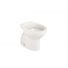 Tall or Built-in Tank Toilet VICTORIA ROCA