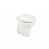 Tall or Built-in Tank Toilet VICTORIA ROCA
