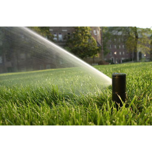 Aspersor Sectorial Serie 5000 3/4" 5006PLUS RAIN-BIRD