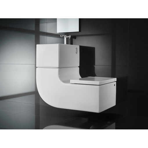 Lavabo e inodoro 2 en uno