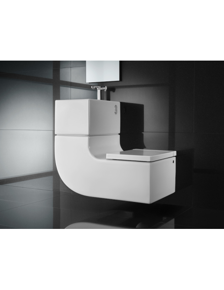 Lavabo e inodoro 2 en uno