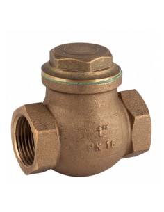 Válvula De Retención De Clapeta Ptfe