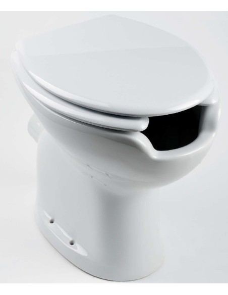 ASIENTO HERRADURA ESTUDIO