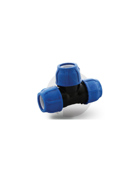 Te Igual - Pp (Ti) Pn16