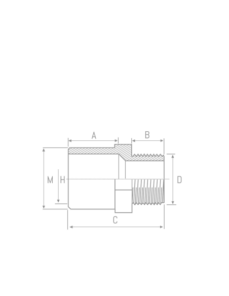 Terminal Rosca Macho PVC Presión