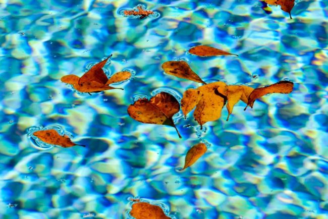 Mantenimiento De Piscinas Disper